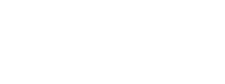 HGNICE LOGO 2